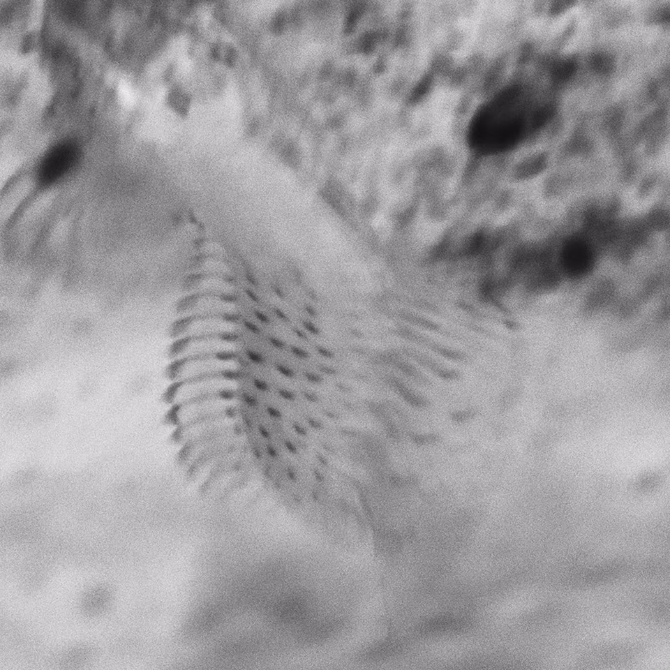 abstract digital media photograph, black and white, arbang, spazzju kreattiv, malta