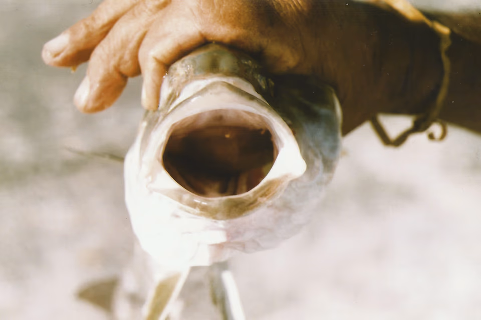 A fisherman holding a freshly caught fish