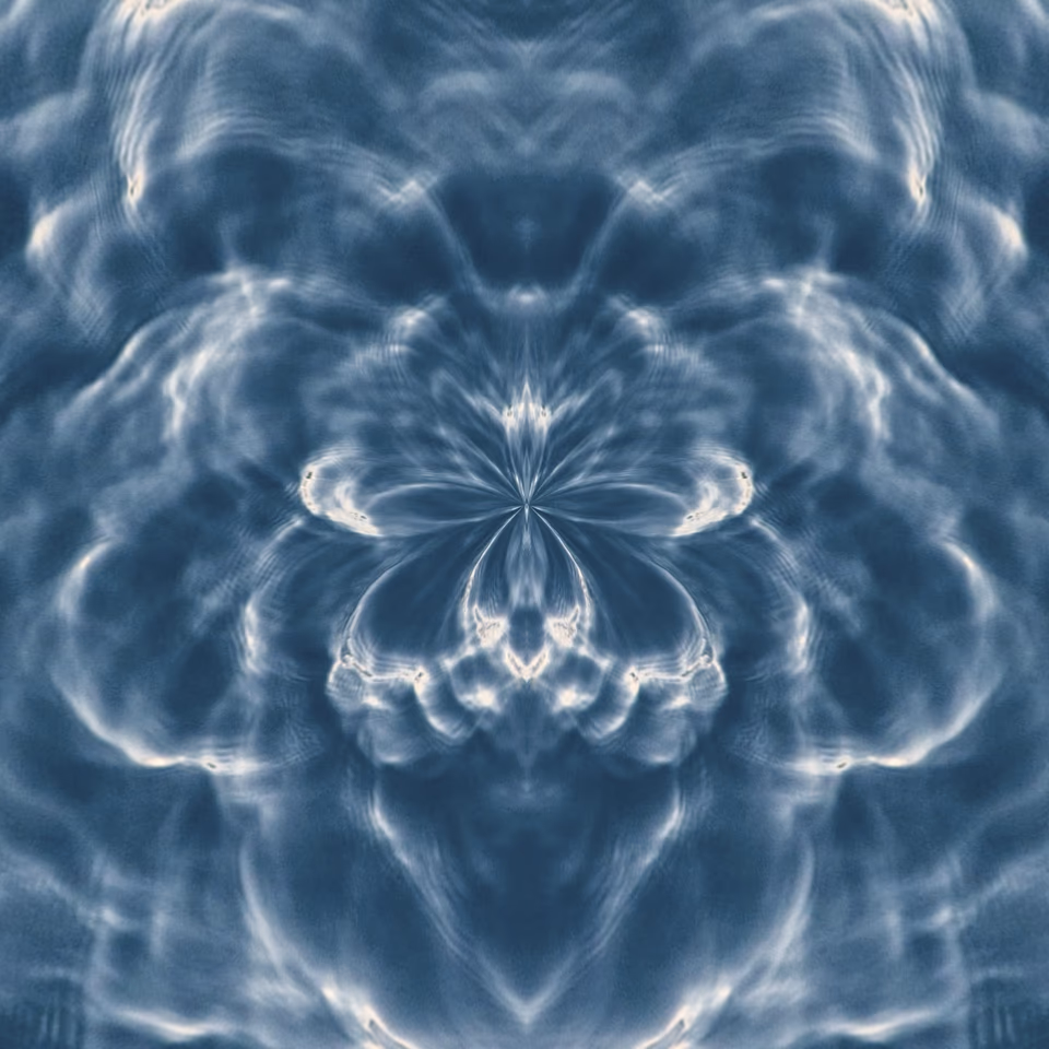4 Butterflies No.4, diffuse symmetrical water abstraction, multiple exposure digital media