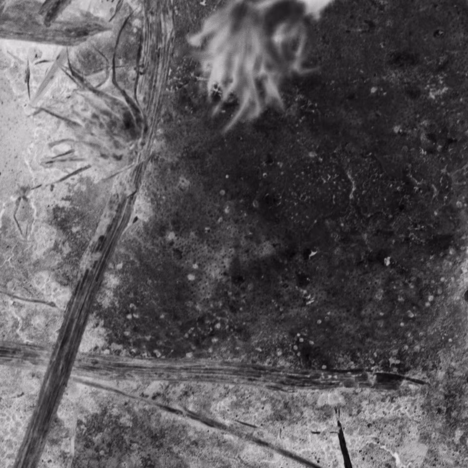 abstract digital media photograph, black and white, arbang, spazzju kreattiv, malta