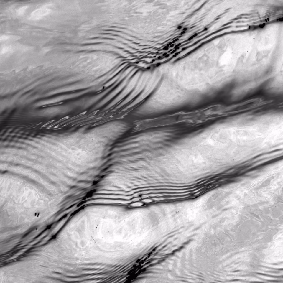 abstract digital media photograph, black and white, arbang, spazzju kreattiv, malta