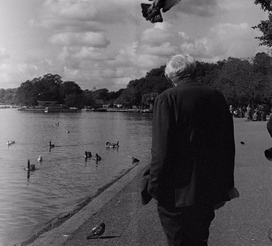 Man at a pond, black and white, street photography, public park, London, UK