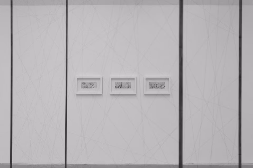 Multiple exposures using angiograms to create woodland and wooded landscapes using digital media, art installation detail, 2017
