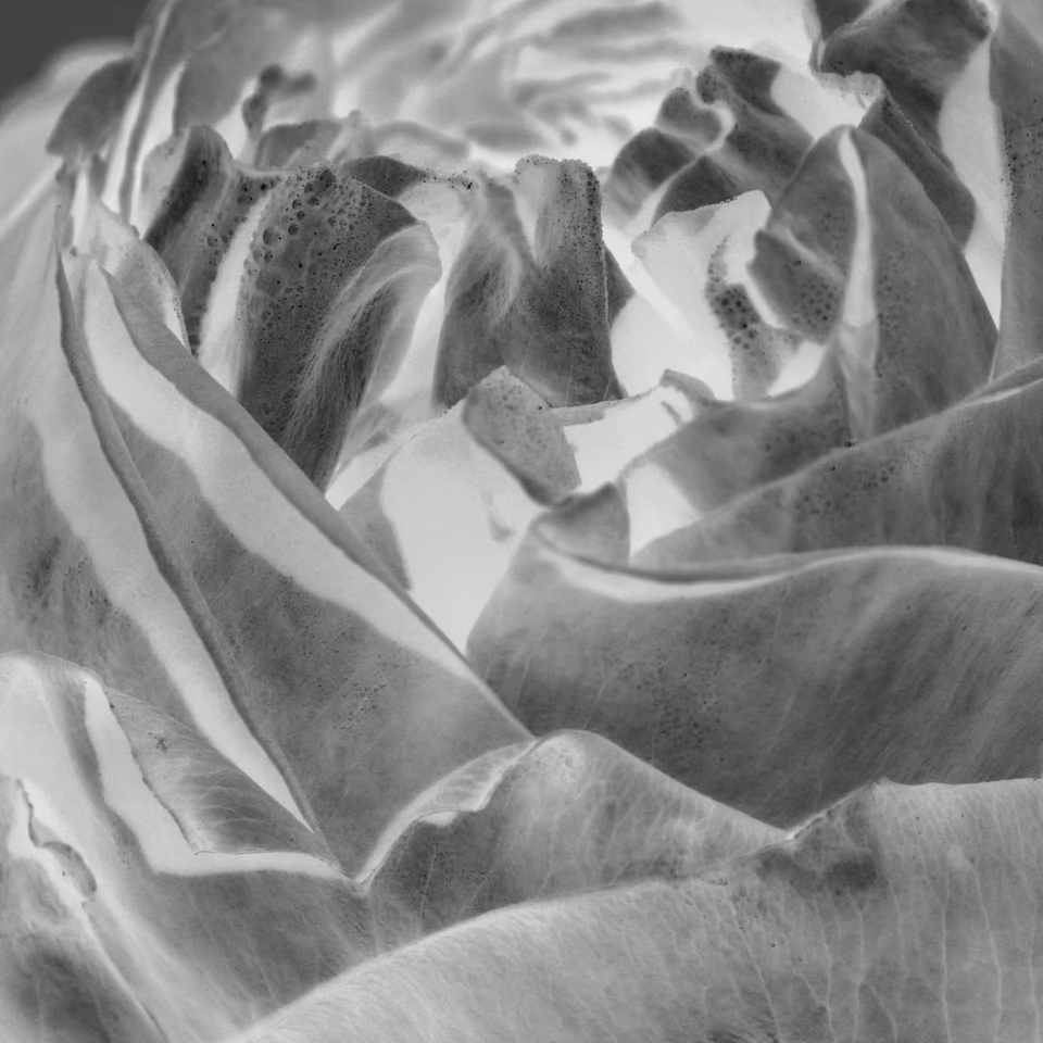 abstract digital media photograph, black and white, arbang, spazzju kreattiv, malta