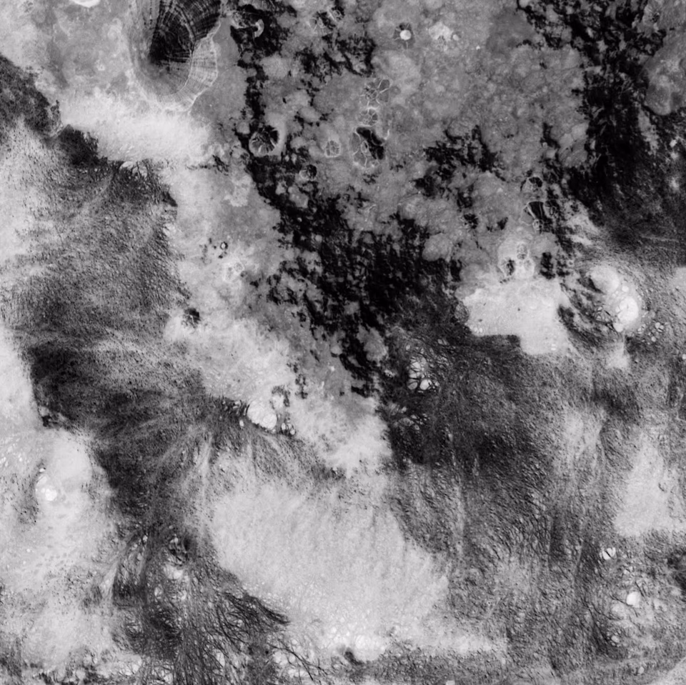 abstract digital media photograph, black and white, arbang, spazzju kreattiv, malta
