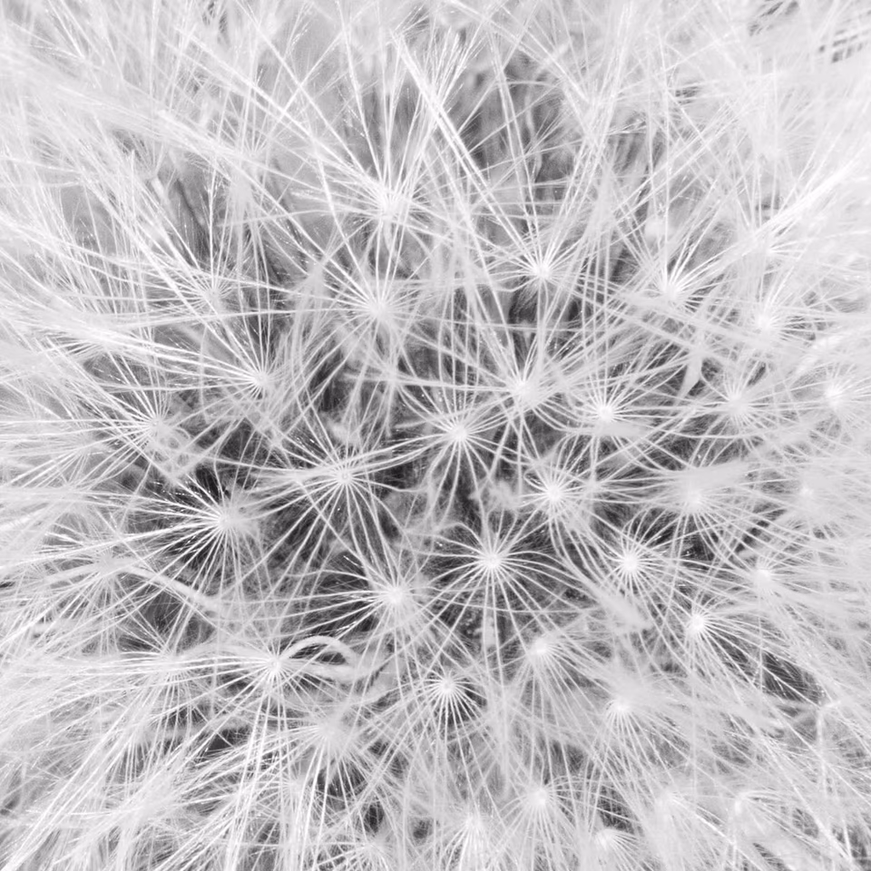 abstract digital media photograph, black and white, arbang, spazzju kreattiv, malta