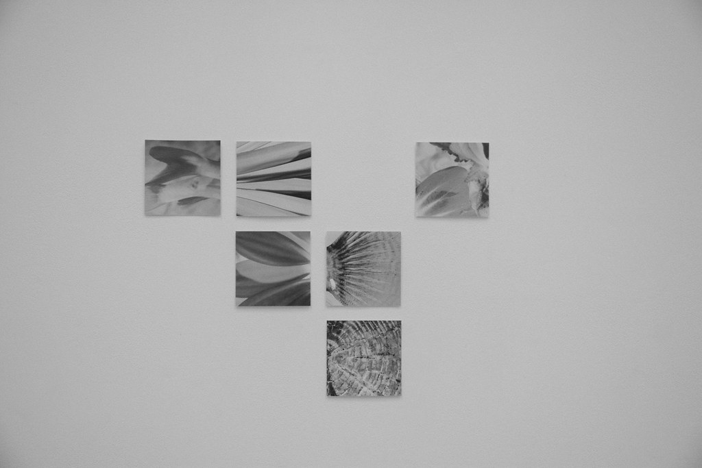 Digital media, collage, art installation detail, 2017